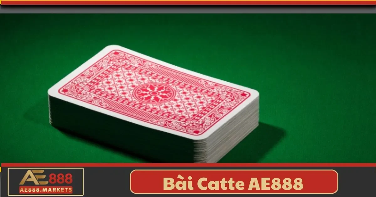 Bài Catte AE888 Là Gì? Tìm Hiểu Quy Tắc Chơi Đơn Giản