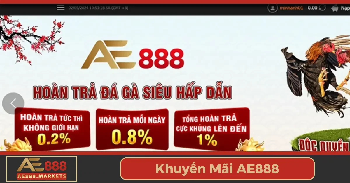 Những lưu ý quan trọng khi tham gia chương trình khuyến mãi tại AE888