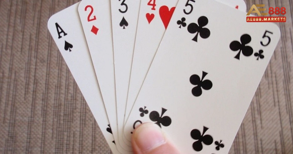 Các loại cược trong Ngũ Linh là một phần không thể thiếu trong trò chơi bài này